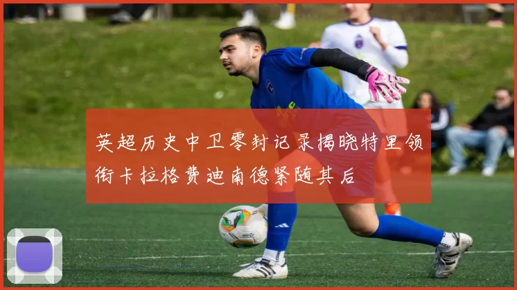 英超历史中卫零封记录揭晓特里领衔卡拉格费迪南德紧随其后