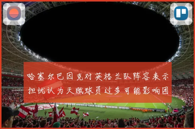 哈塞尔巴因克对英格兰队阵容表示担忧认为天赋球员过多可能影响团队合作